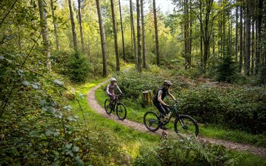 Haldon bike hire best sale